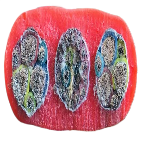 腾博汇游戏官网 - 诚信为本,专业服务!