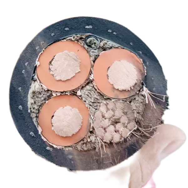 腾博汇游戏官网 - 诚信为本,专业服务!