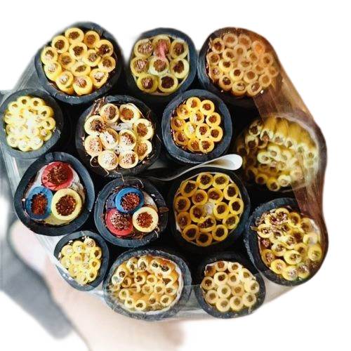 腾博汇游戏官网 - 诚信为本,专业服务!