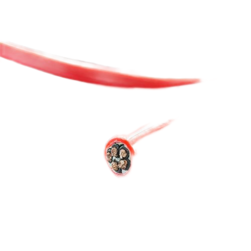 �ڲ�����Ϸ���� - ����Ϊ��,רҵ����!