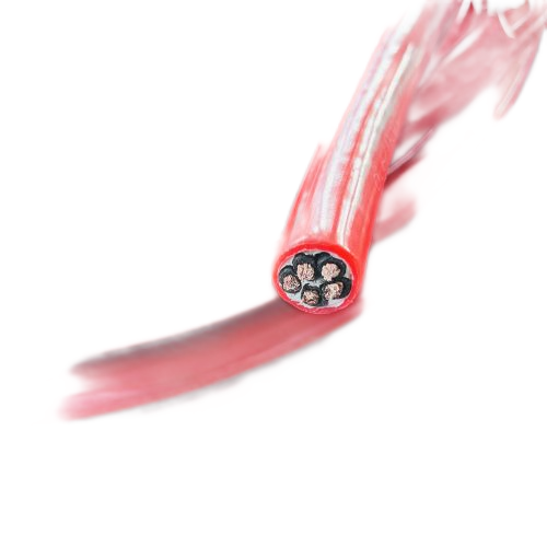 腾博汇游戏官网 - 诚信为本,专业服务!