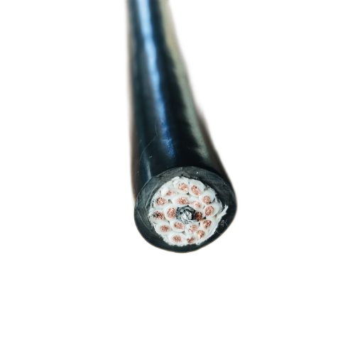 �ڲ�����Ϸ���� - ����Ϊ��,רҵ����!