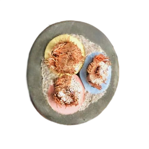 �ڲ�����Ϸ���� - ����Ϊ��,רҵ����!