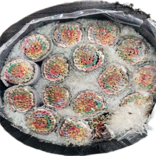 腾博汇游戏官网 - 诚信为本,专业服务!