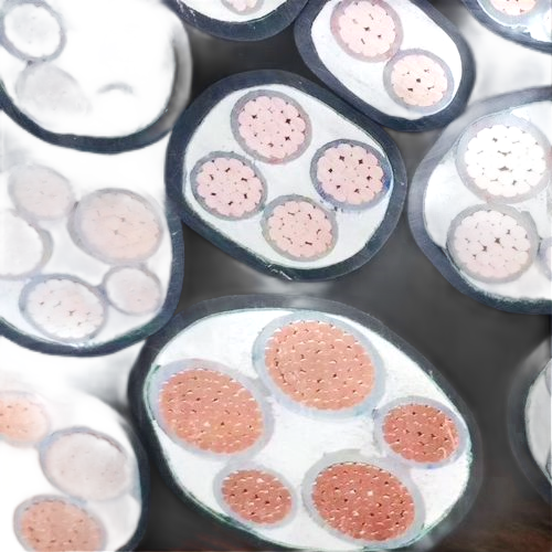 �ڲ�����Ϸ���� - ����Ϊ��,רҵ����!