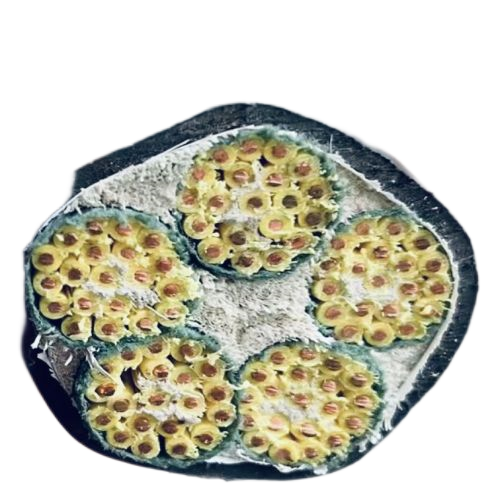 �ڲ�����Ϸ���� - ����Ϊ��,רҵ����!