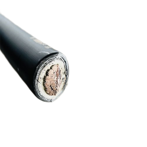 �ڲ�����Ϸ���� - ����Ϊ��,רҵ����!