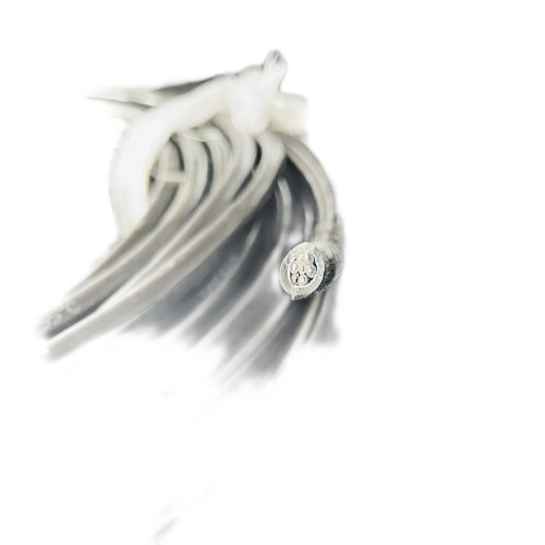 腾博汇游戏官网 - 诚信为本,专业服务!