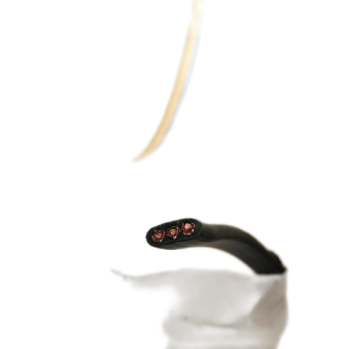 �ڲ�����Ϸ���� - ����Ϊ��,רҵ����!