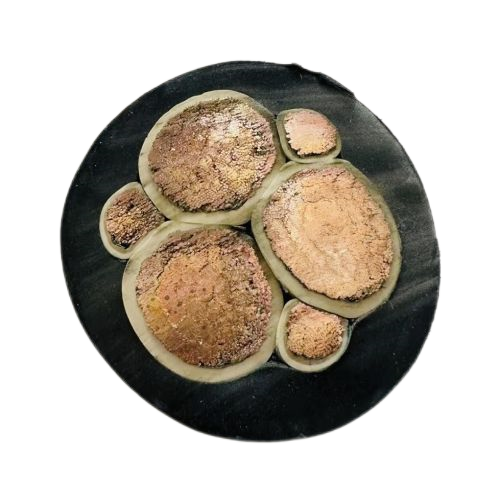 �ڲ�����Ϸ���� - ����Ϊ��,רҵ����!