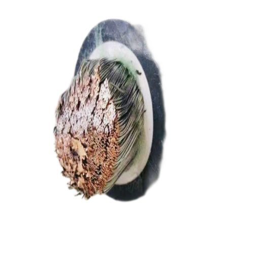 腾博汇游戏官网 - 诚信为本,专业服务!