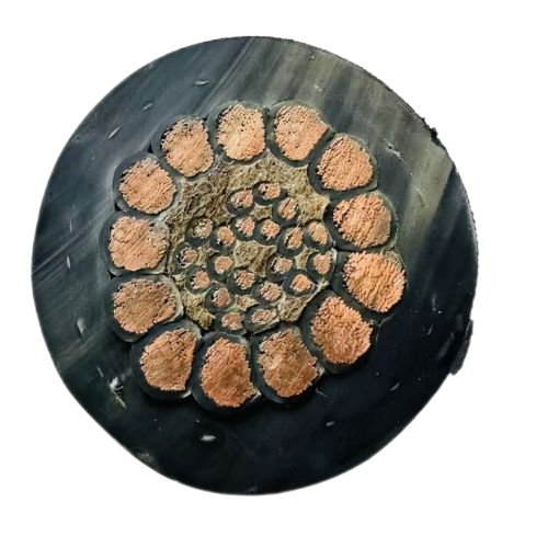 腾博汇游戏官网 - 诚信为本,专业服务!