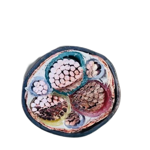 �ڲ�����Ϸ���� - ����Ϊ��,רҵ����!