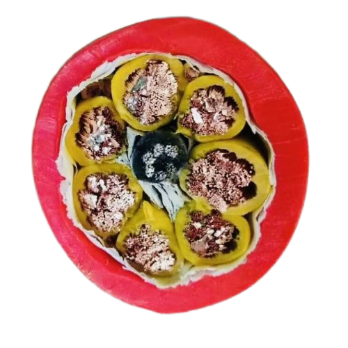 �ڲ�����Ϸ���� - ����Ϊ��,רҵ����!