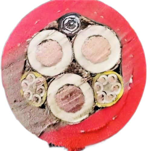 腾博汇游戏官网 - 诚信为本,专业服务!