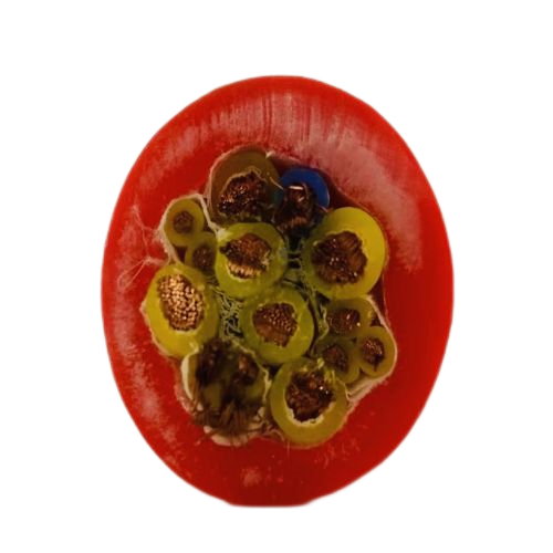 腾博汇游戏官网 - 诚信为本,专业服务!