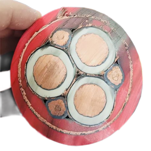 腾博汇游戏官网 - 诚信为本,专业服务!